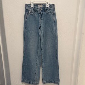 Pacsun Casey low rise baggy jeans